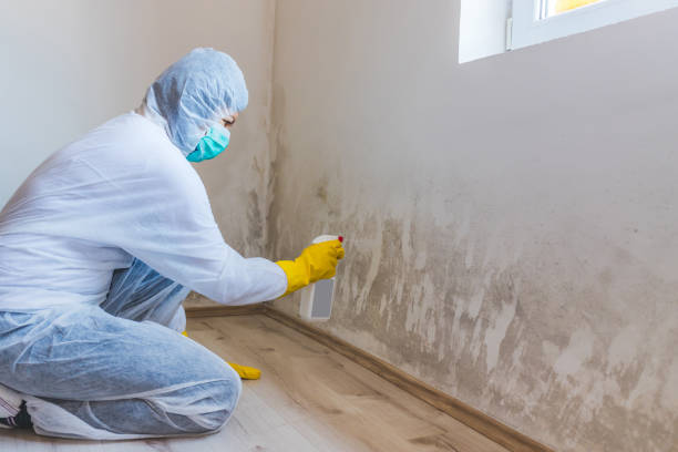 Mold Remediation specialist working in Leesburg